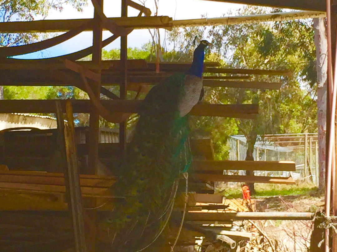 Tuckerberry Hill Blueberry Farm-Drysdale必去景点