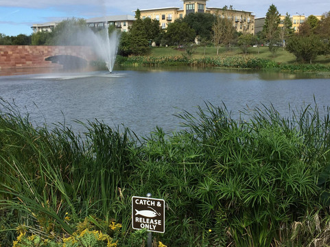 Mueller Lake Park-奥斯丁必去景点