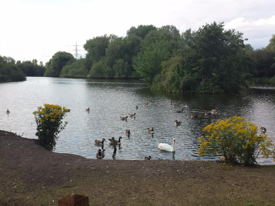 Fishers Green Nature Reserve景点图片