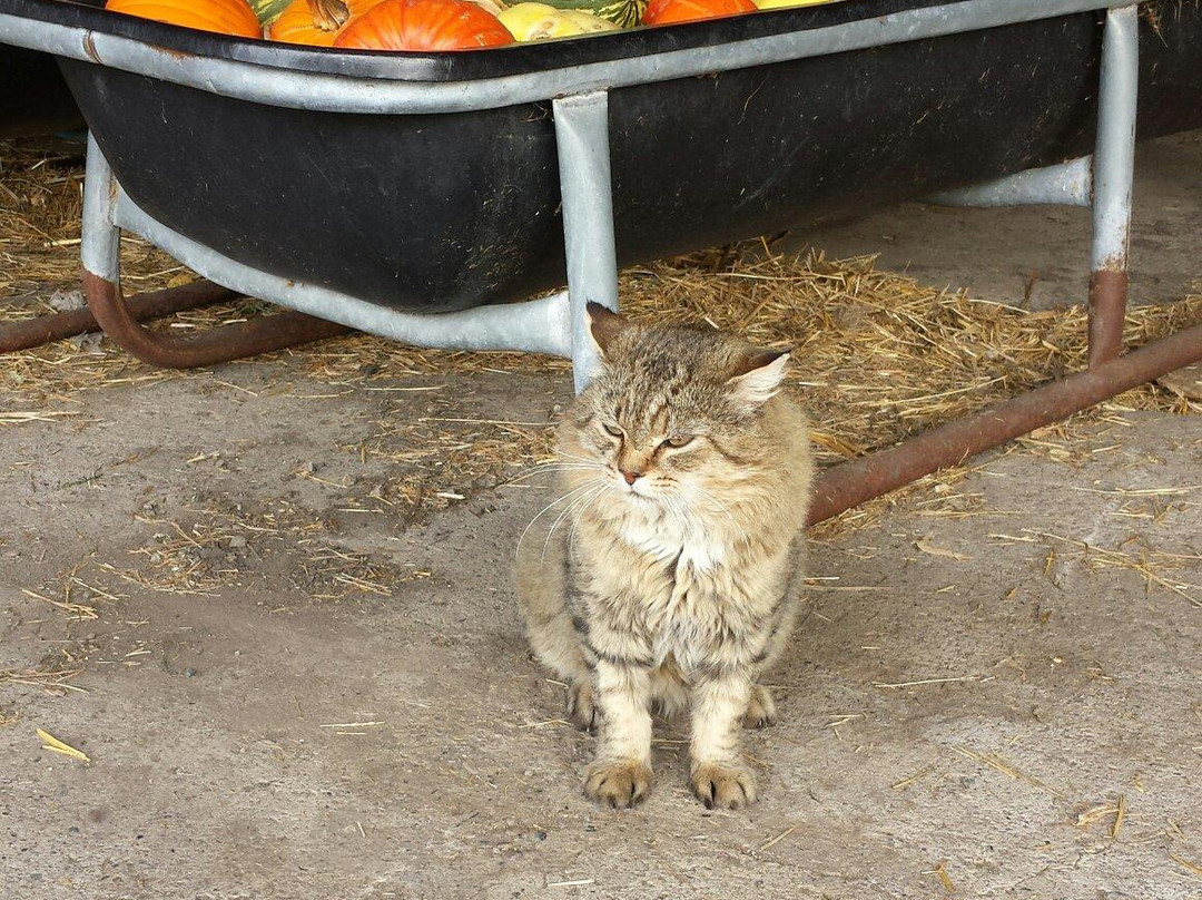 丛林农场-红鹿市必去景点