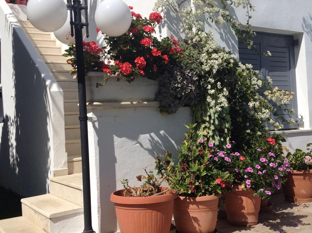 Konaki Studios & Apartments主图