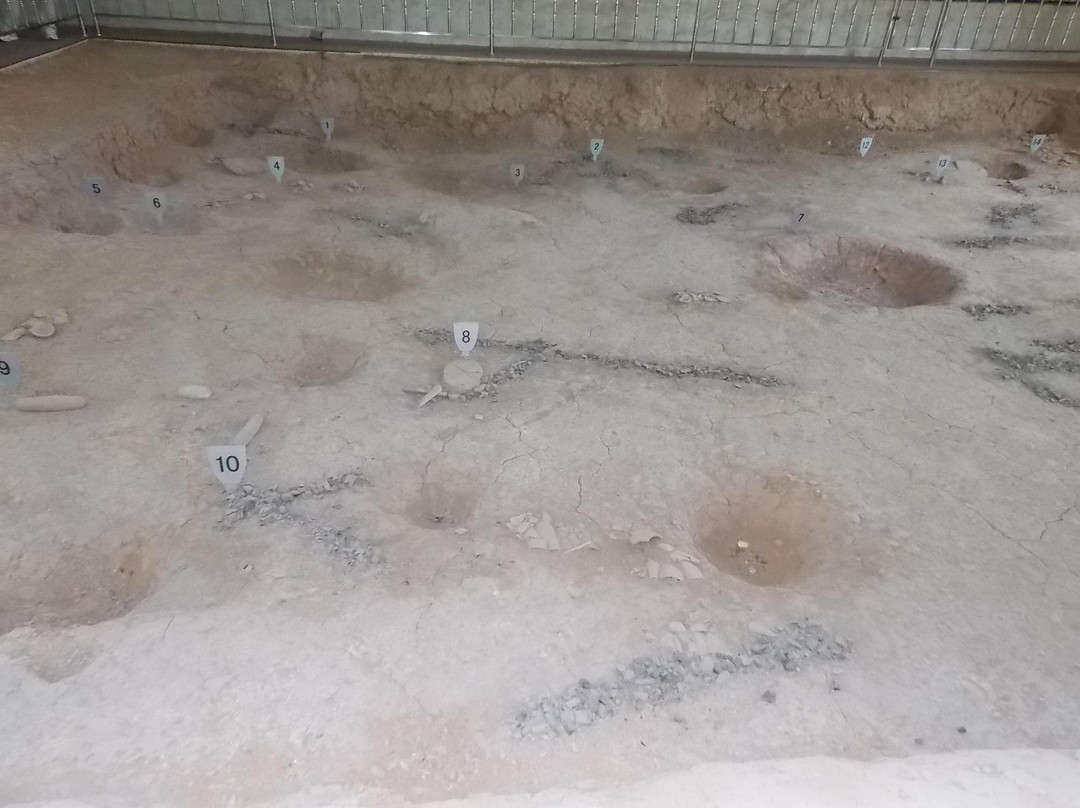 新乐遗址博物馆-沈阳市必去景点