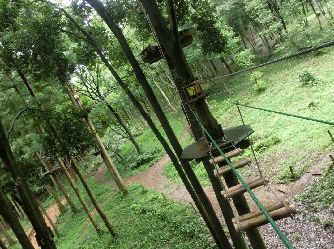Forest Adventure Ohira-栃木市必去景点