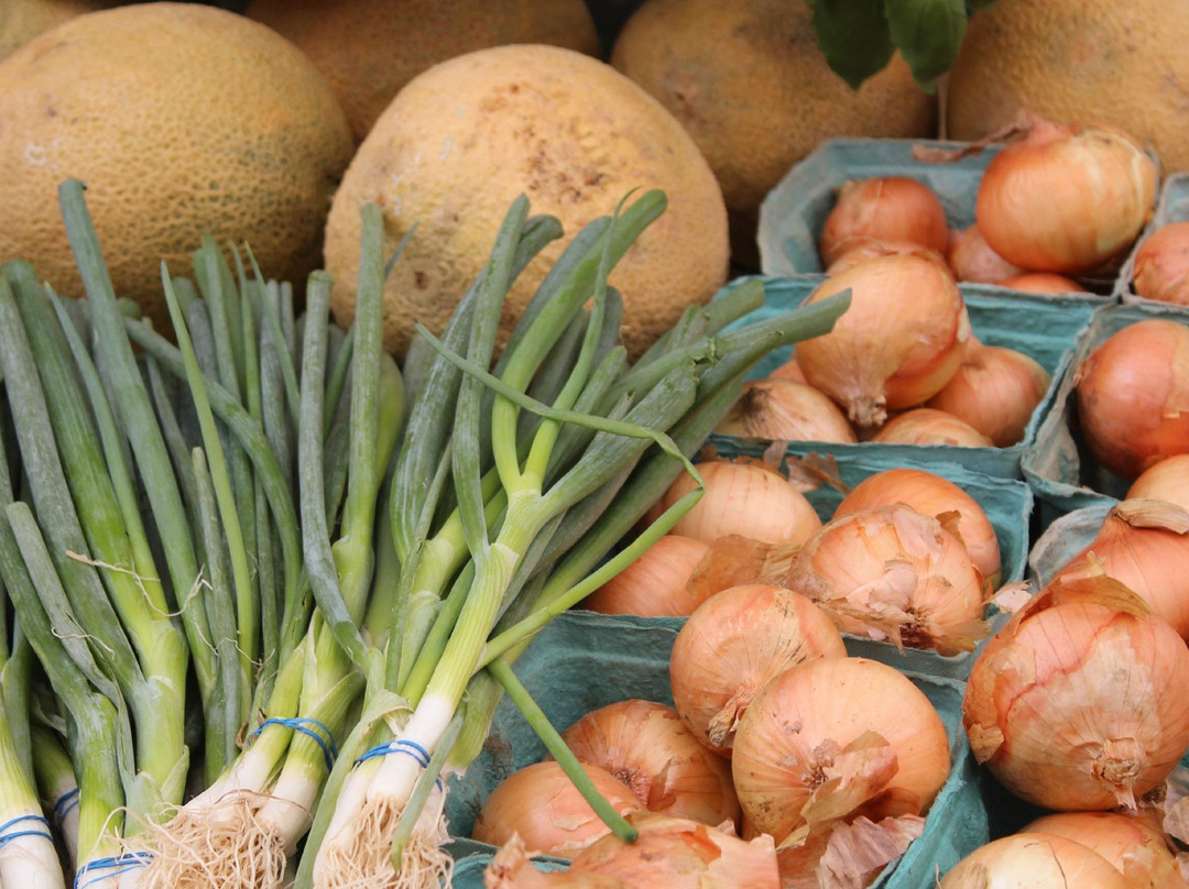 Farmers Market of Bluffton景点图片