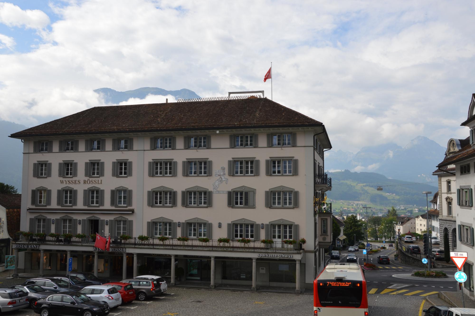 Hotel Wysses Rossli-客卧