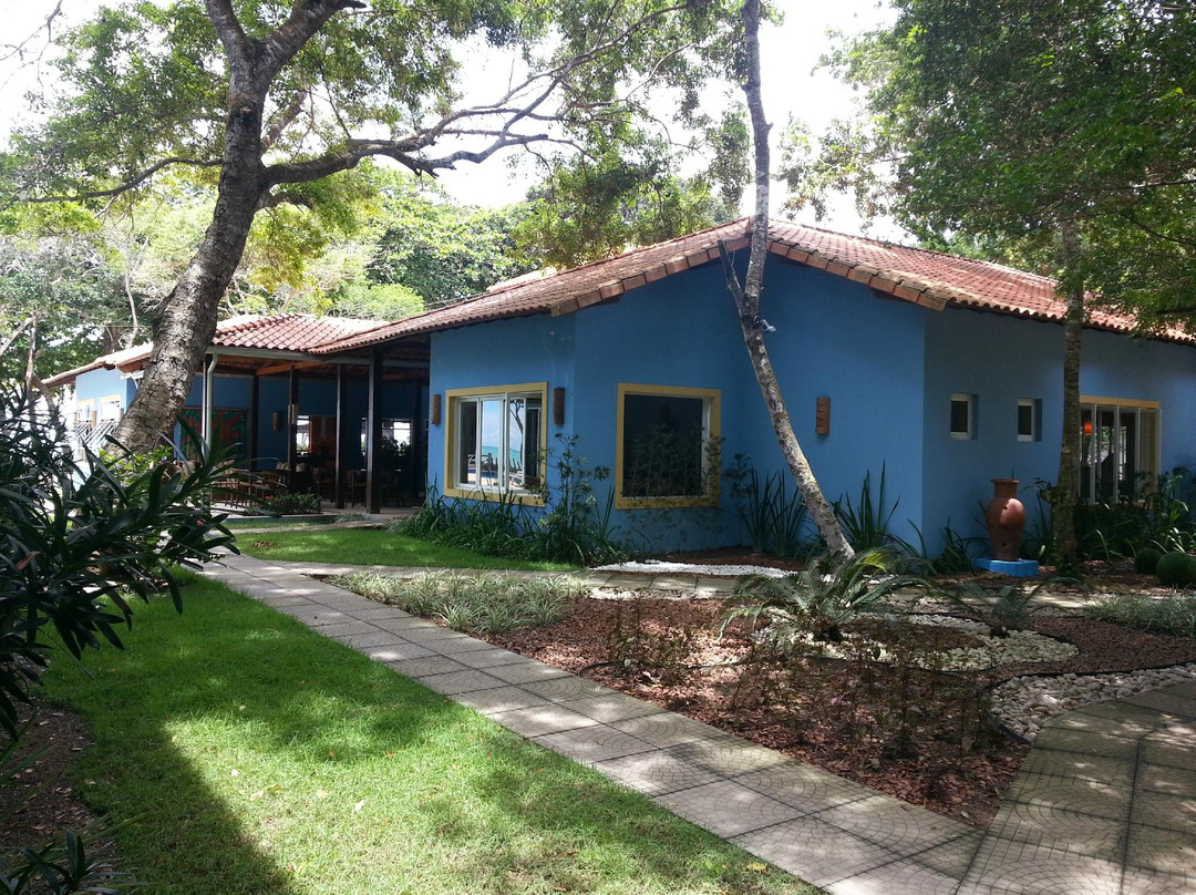 Rio do Peixe Beach-Cumuruxatiba必去景点
