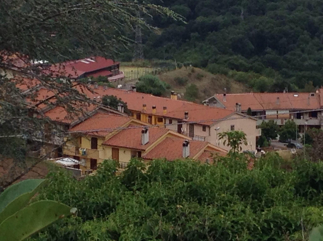 B&B  La Pineta主图