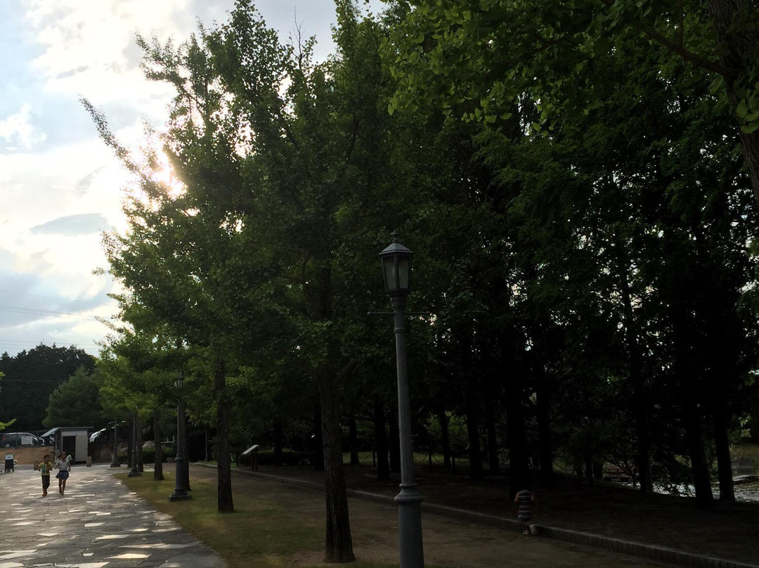 Rokuha Park Pool-草津市必去景点