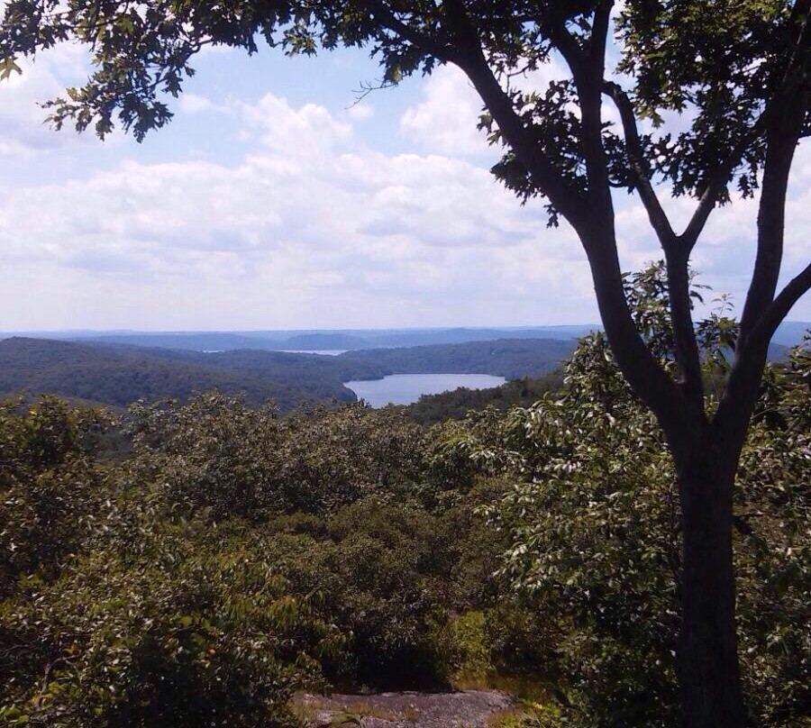 Turkey Mountain Nature Preserve景点图片