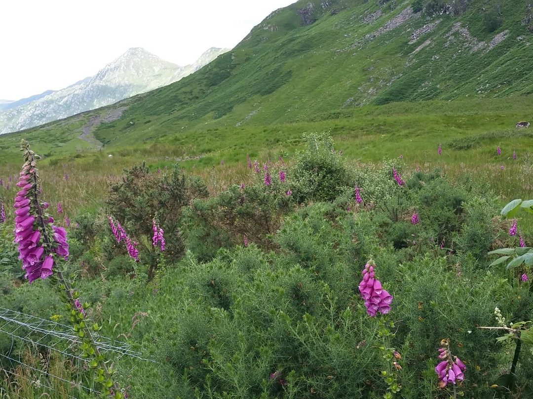 Grampian Mountains-苏格兰高地必去景点