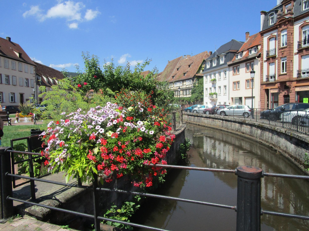 Office de Tourisme de l'Alsace Verte - Bureau d'information de Wissembourg景点图片