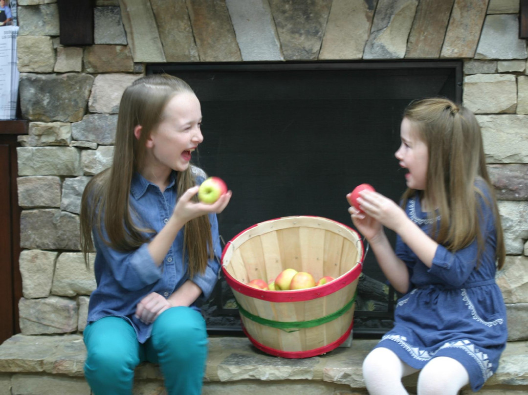 Gilmer Chamber & Welcome Center-Ellijay必去景点