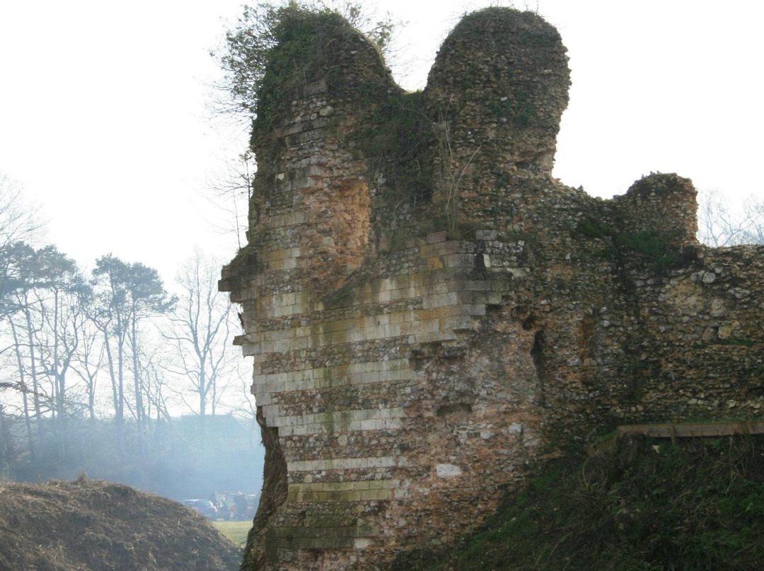 Montfort-sur-Risle旅游攻略图片