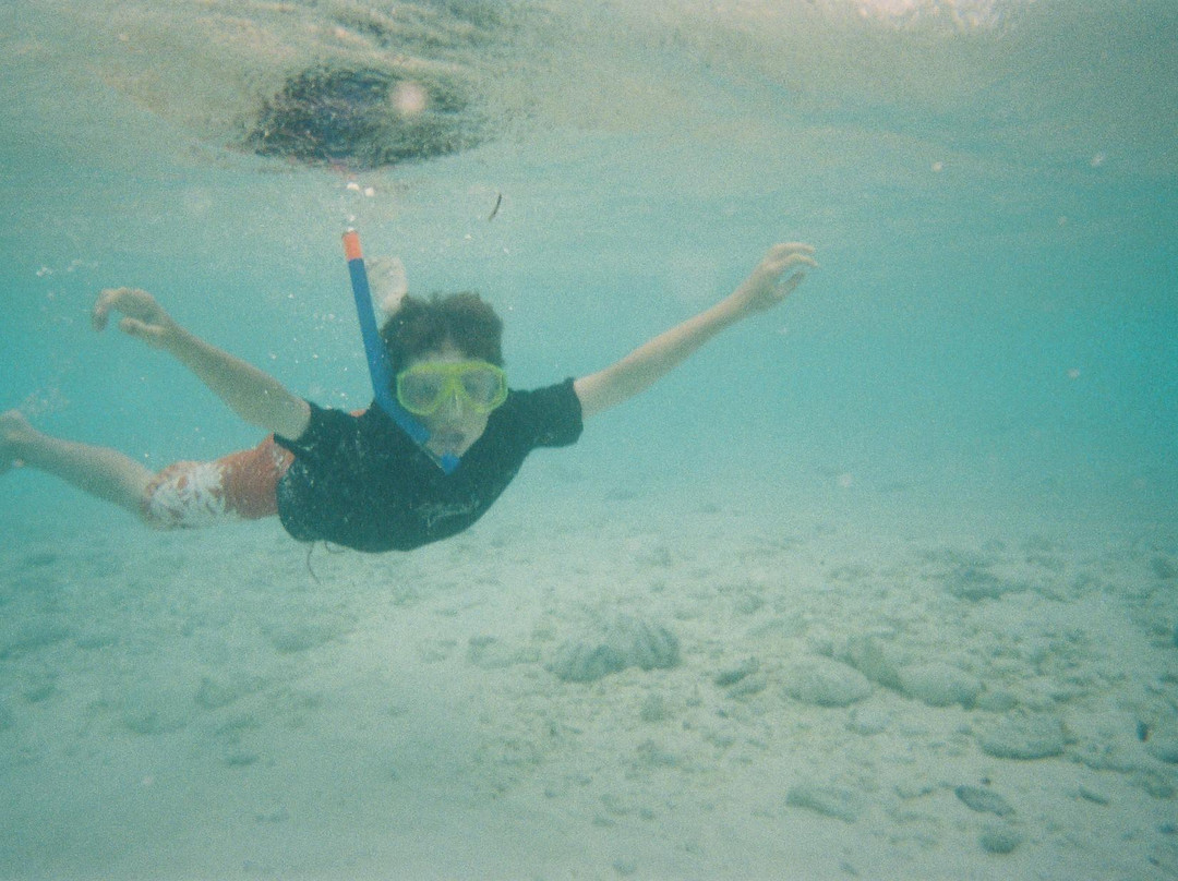 Island Explorer Holidays - Private Day Tours-West Island必去景点