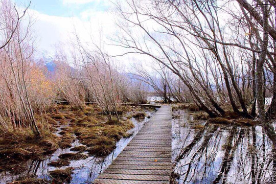 泄湖步行走道-格伦诺基必去景点