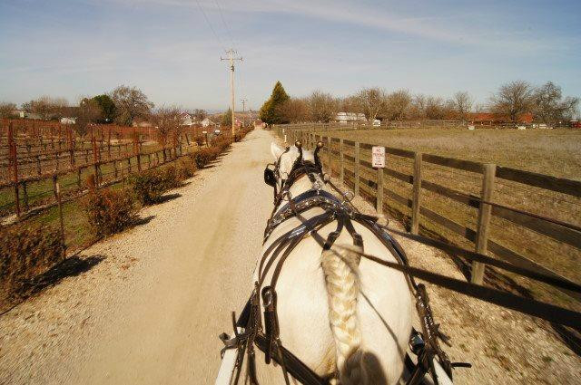 White Horse Carriage Co景点图片