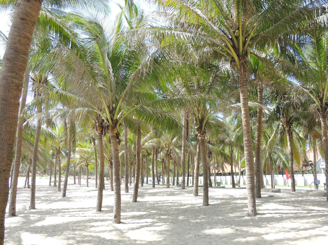 Cyclo Travel & Leisure-河内必去景点