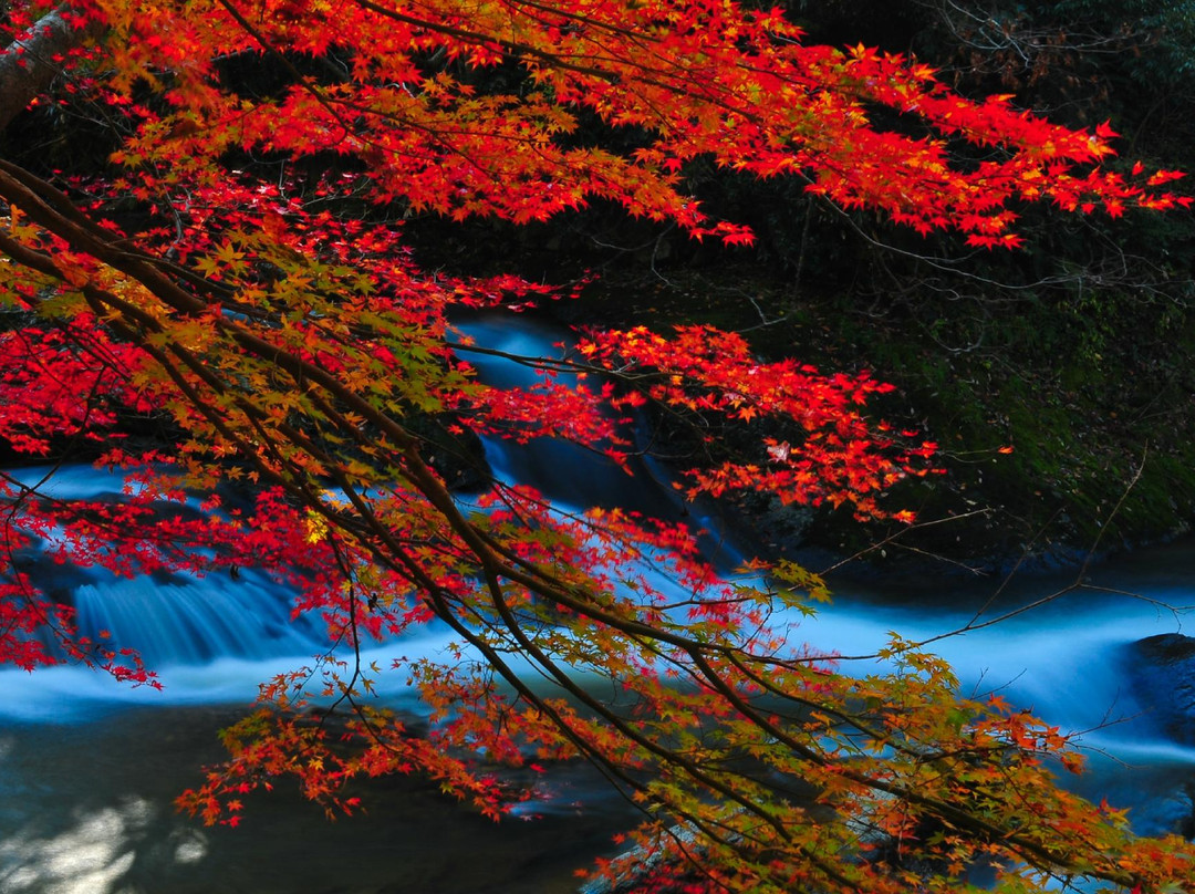 Yaedaki Falls-云南市必去景点