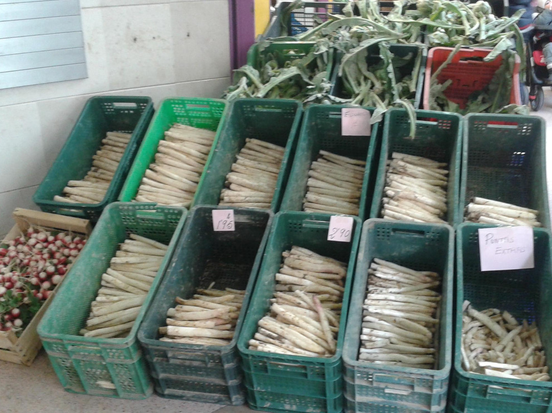 Mercado de Abastos-Tudela必去景点