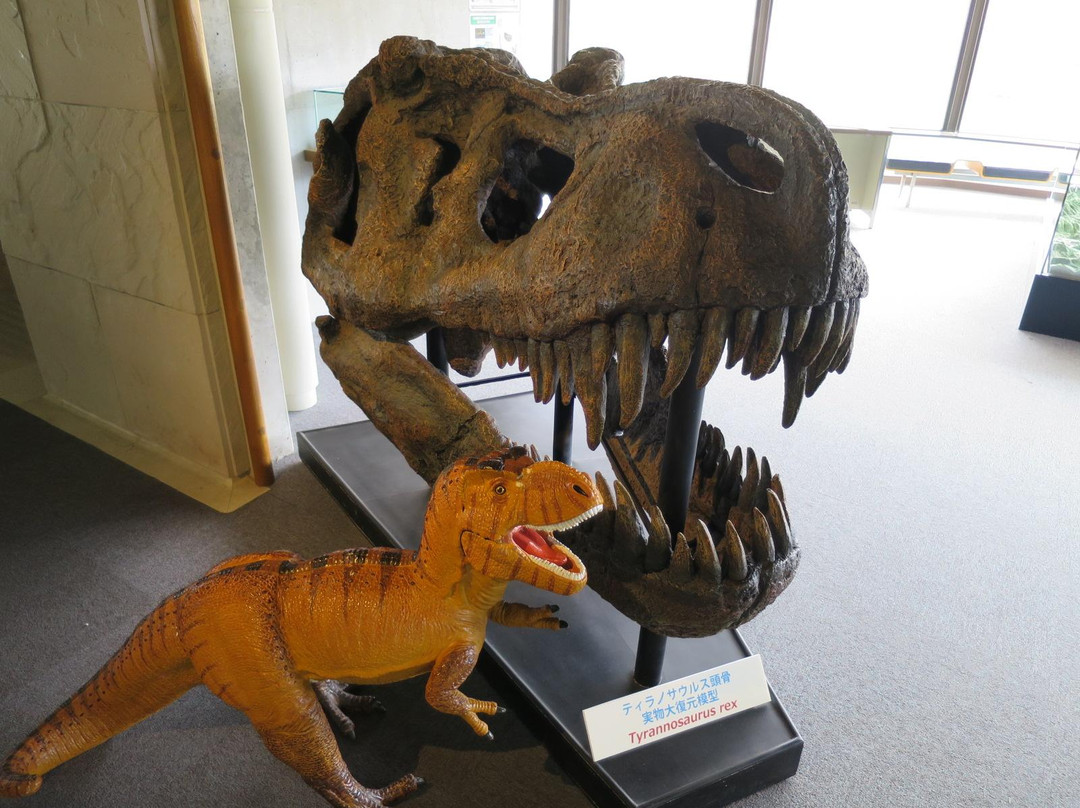 Shinshu Shinmachi Fossil Museum-长野县必去景点