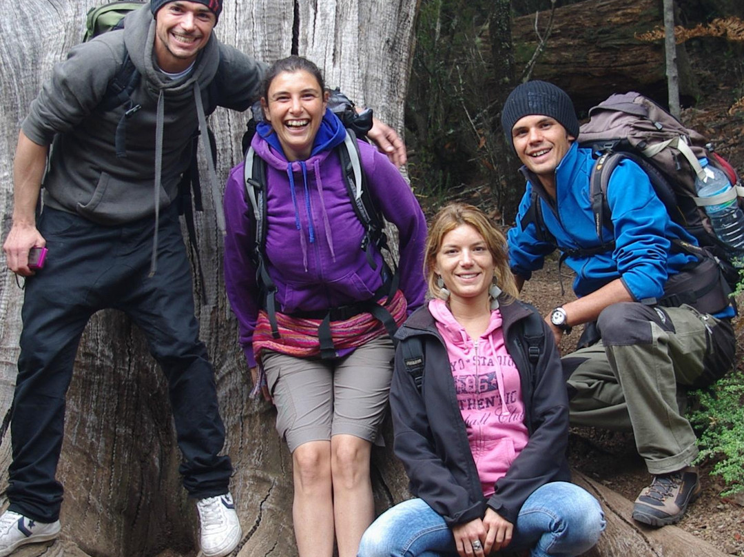 Trekking Tenerife -  Tours-Guia de Isora必去景点