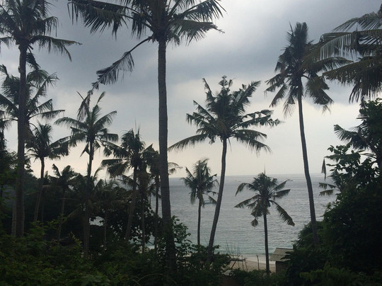 Sepeda Bali Adventure Cycling and Tours-乌布必去景点