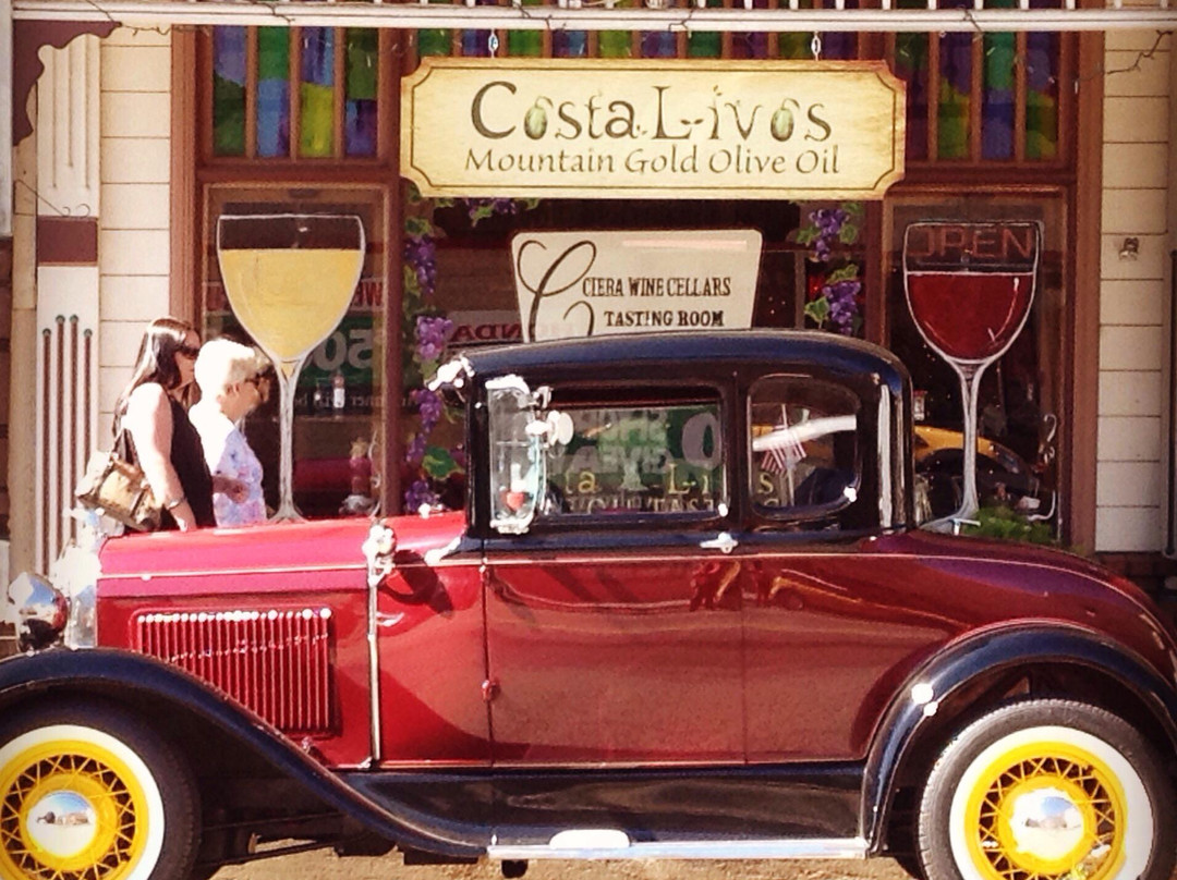 Costalivos Mountain Gold Olive Oil Tasting Room & Gift Shop-马里波萨必去景点