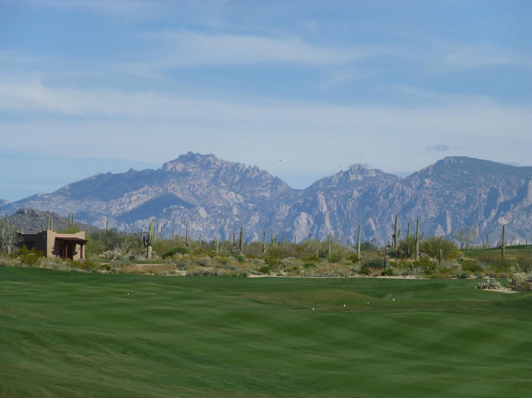 Ritz Carlton Golf Course Dove Mountain-马拉纳必去景点