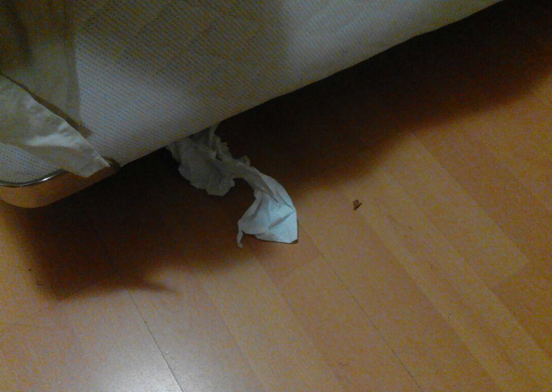 Tshedza Guest Lodge主图