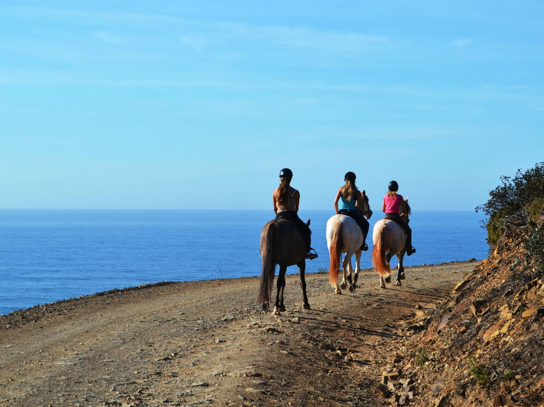 Algarve Horse Riding景点图片