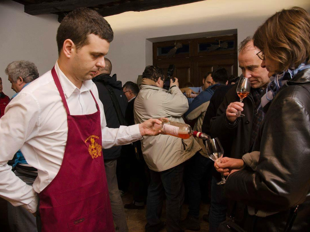 Malatinszky Kuria Organic Wine Estate-Siklos必去景点