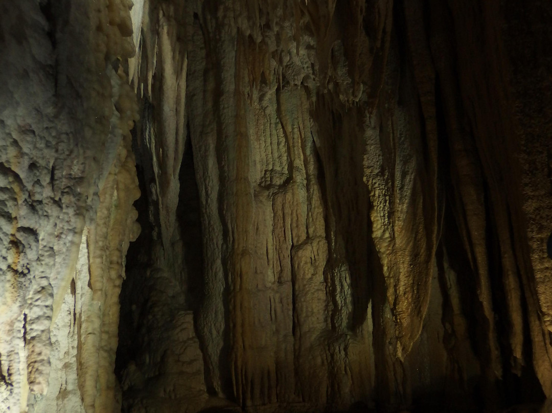 怀托摩萤火虫洞-怀托摩洞穴必去景点