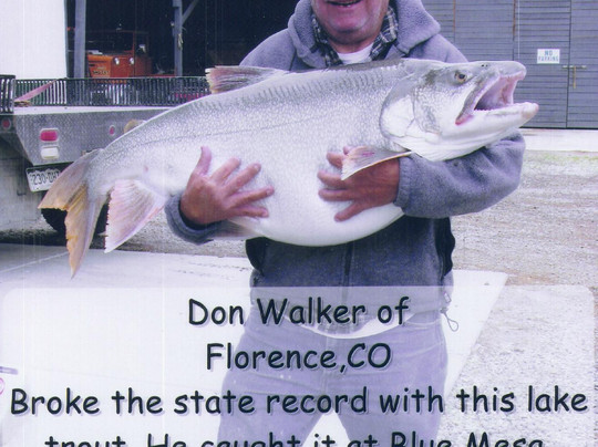 Ferro's Blue Mesa Ranch-Gunnison必去景点