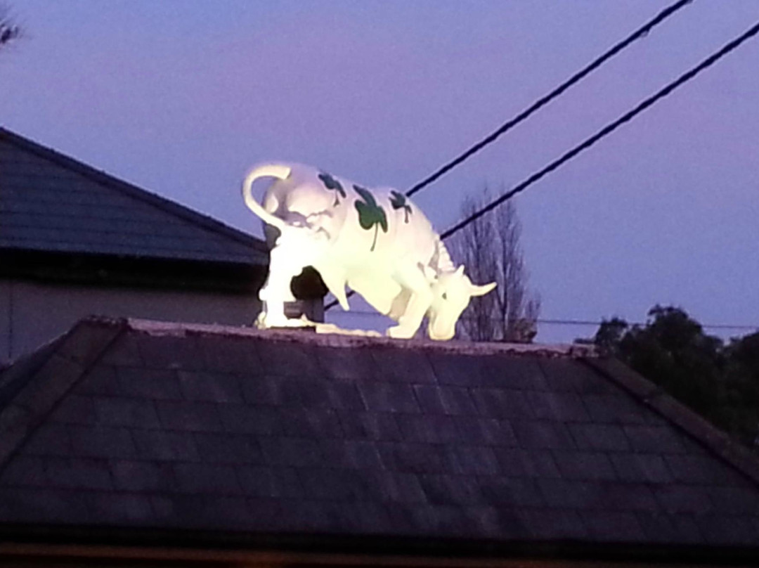 Black Bull Inn-Drogheda必去景点