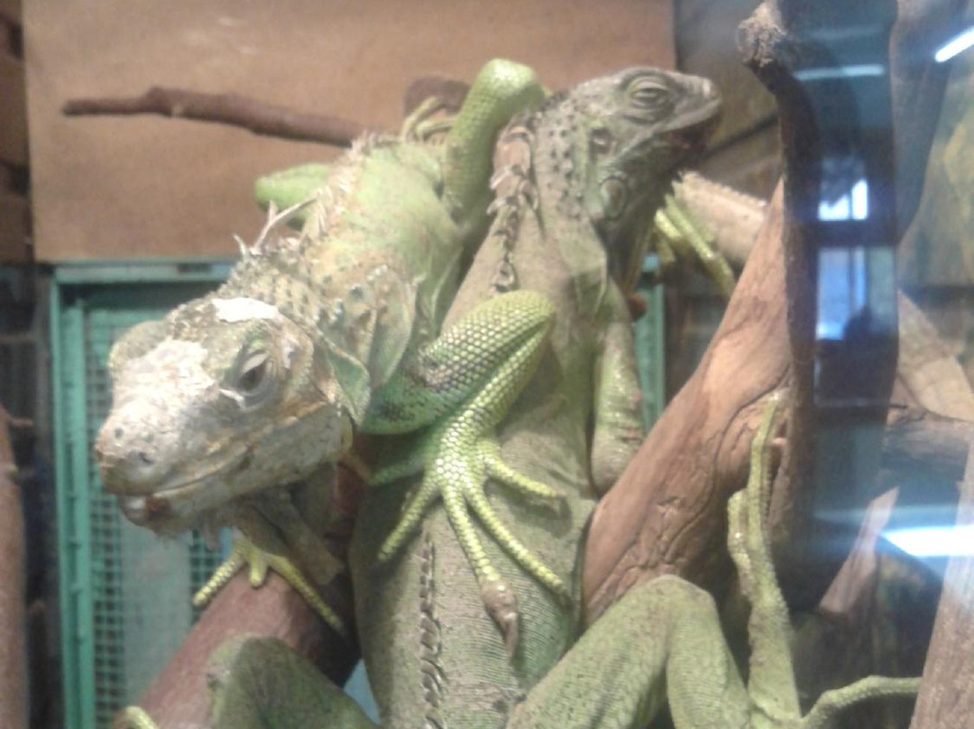 Chita City Zoo-赤塔必去景点