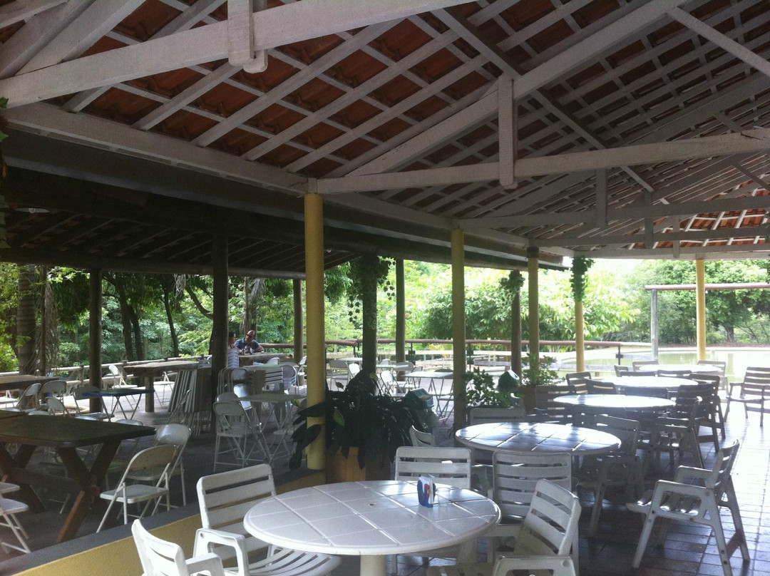 Fazenda Floresta景点图片