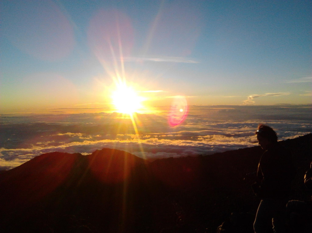 Volcano Teide Experience-泰德国家公园必去景点