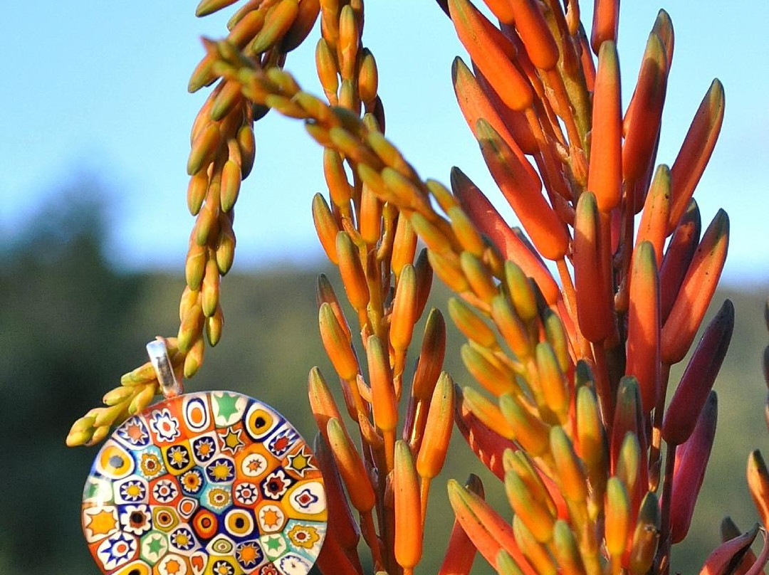 Glass Roots Studio-Sedgefield必去景点