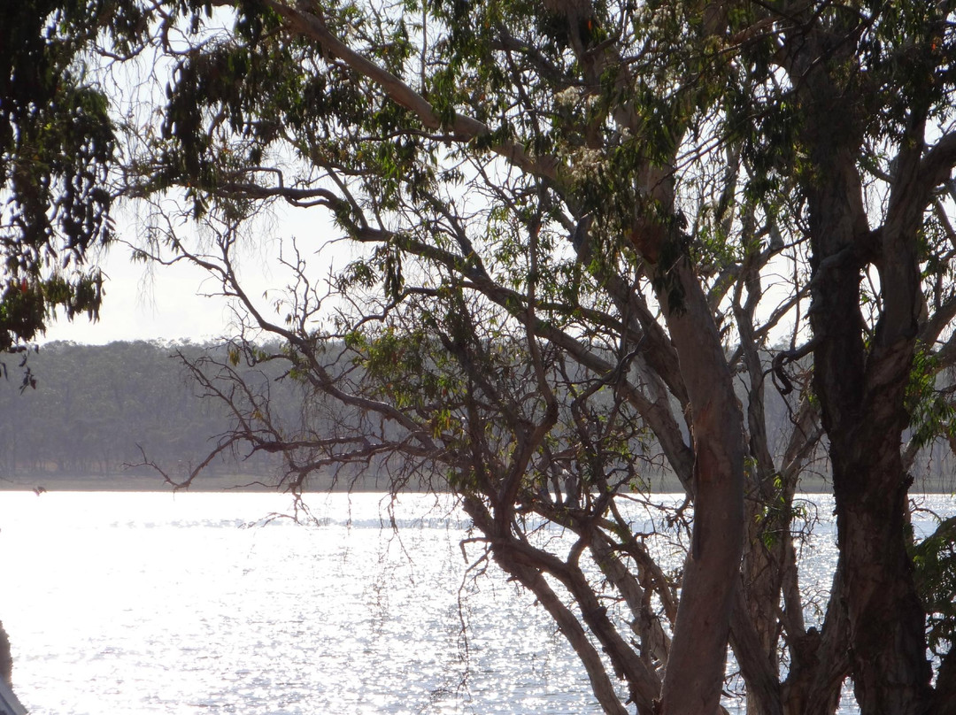 Lake Elphinstone景点图片