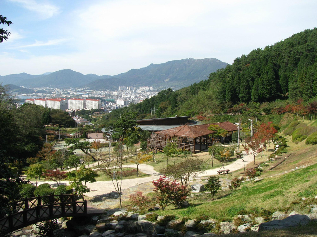 Jinhae Dream Park景点图片