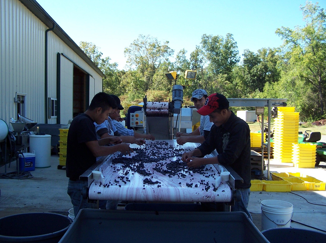 Vault Field Vineyards-Kinsale必去景点