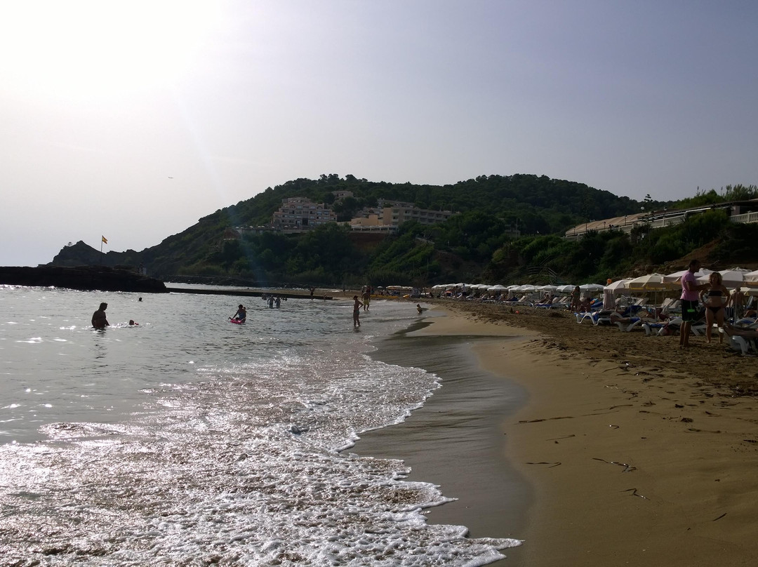 Playa de Es Figueral景点图片