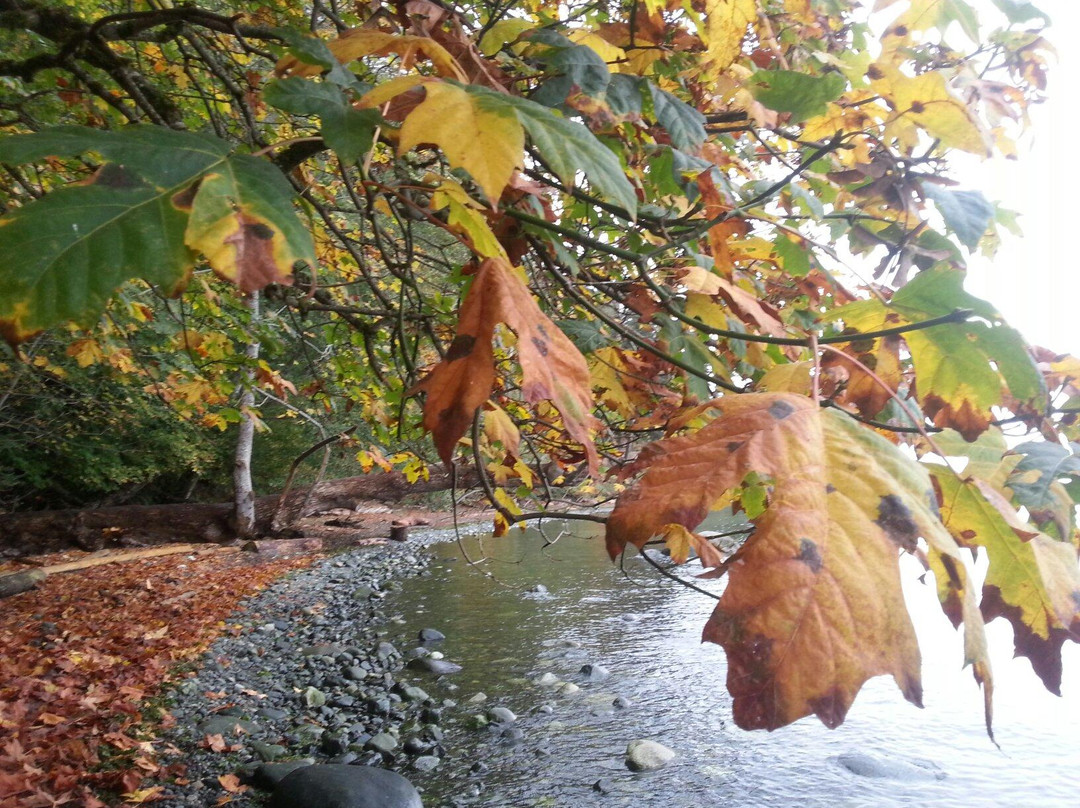 Seal Bay Nature Park景点图片
