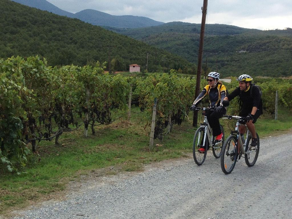 Trigiro - Unique Travel Experience景点图片