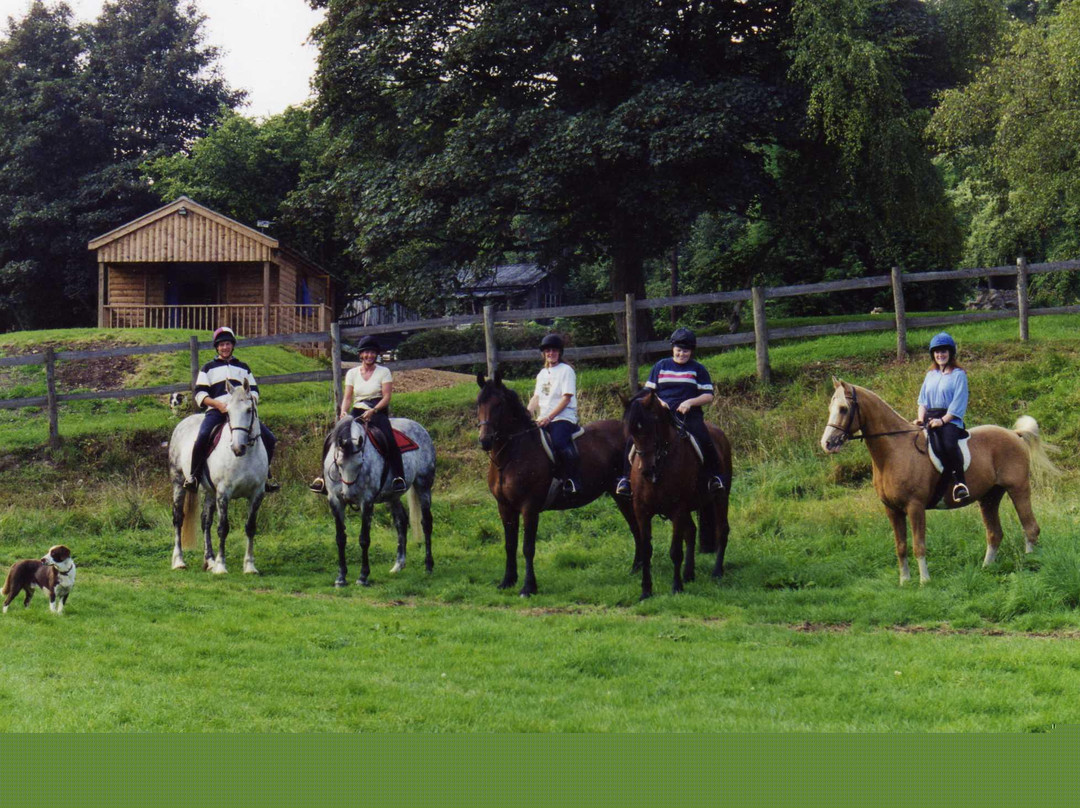 Penycoed Riding Stables-Pant必去景点