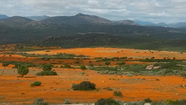 Namaqua National Park-北开普省必去景点