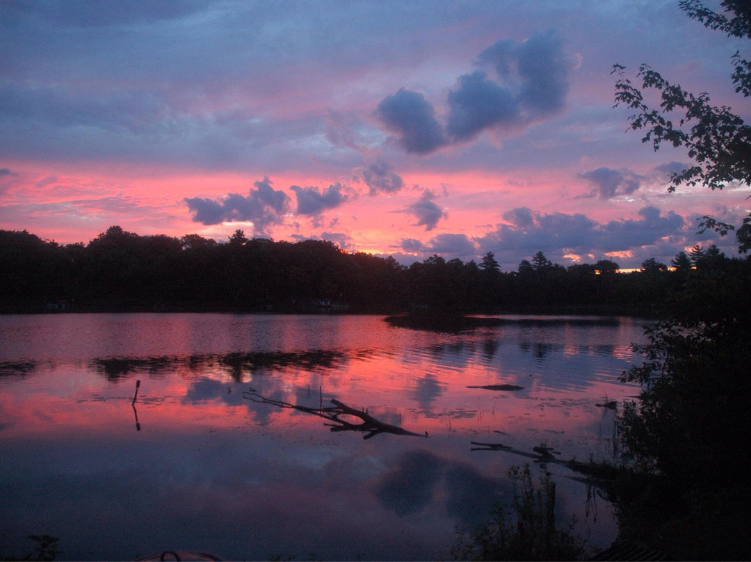 Six Mile Lake Provincial Park景点图片
