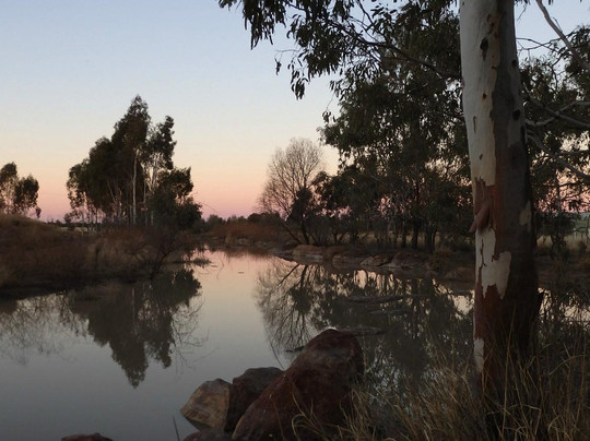 Cunnamulla Bushlands-Cunnamulla必去景点