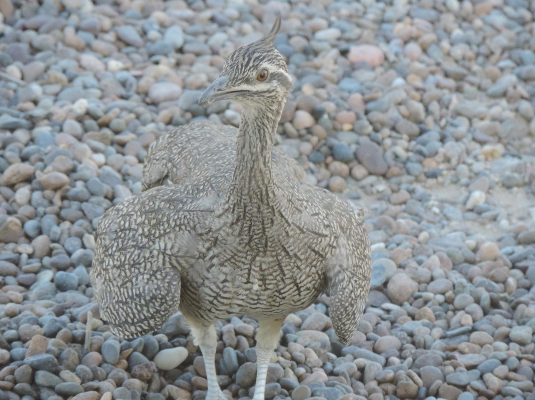 Chacra el refugio-马德林港必去景点