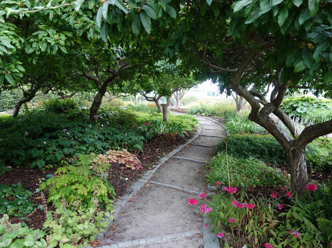 Botanical Garden and the Greenhouses景点图片